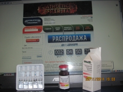 IMG 1341
