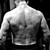 vanbody